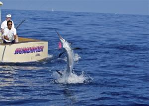 Hawaii Fishing Kona Sportfishing