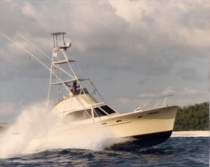 hawaii fishing charters