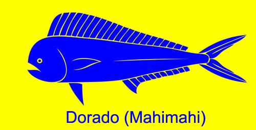 Dorado (Mahimahi)