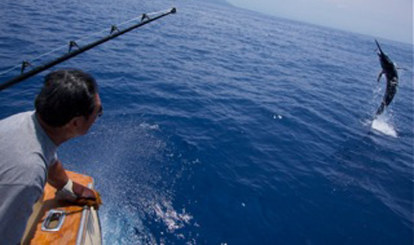 hawaii fishing