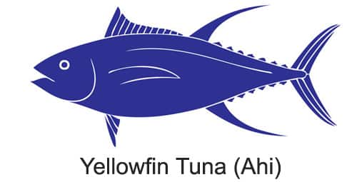 Yellowfin Tuna (Ahi)