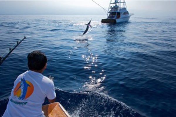 fishing-charters